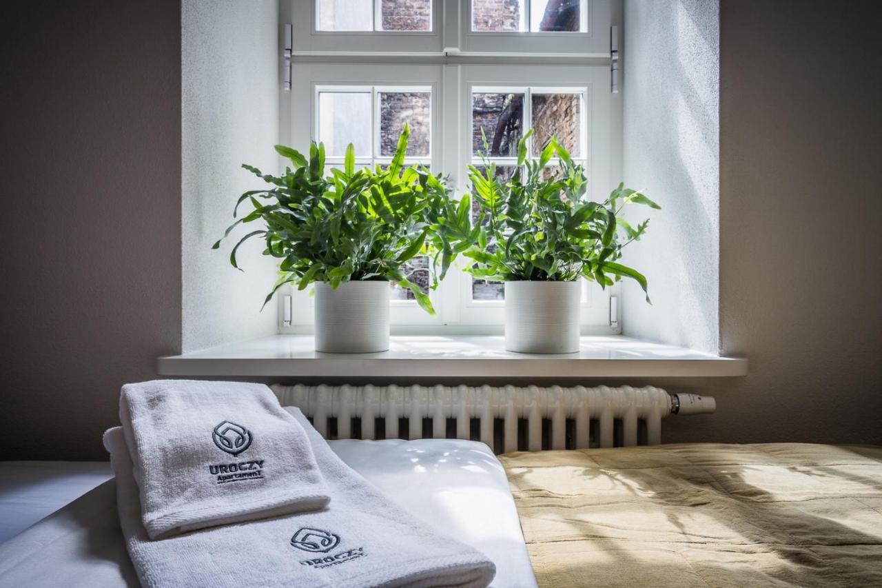 Uroczy Apartament Lazienna 5/4 Stary Toruń エクステリア 写真